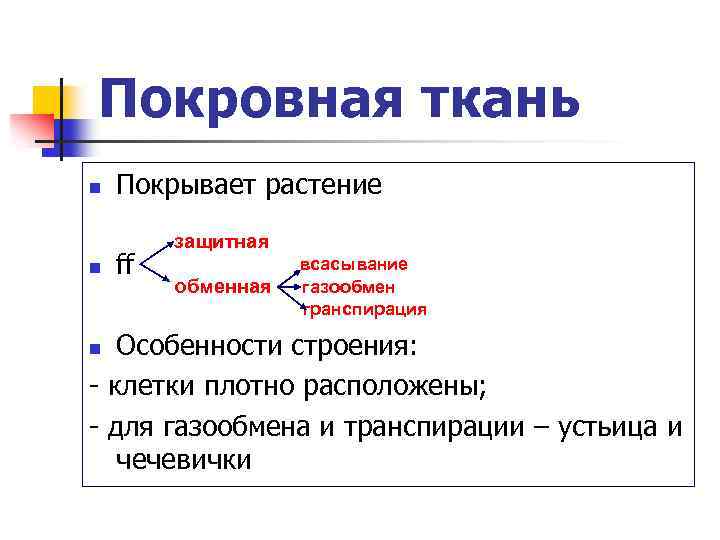 Покровная ткань n n Покрывает растение ff защитная обменная всасывание газообмен транспирация Особенности строения: