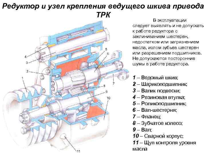 Редуктор и узел крепления ведущего шкива привода ТРК В эксплуатации следует выявлять и не