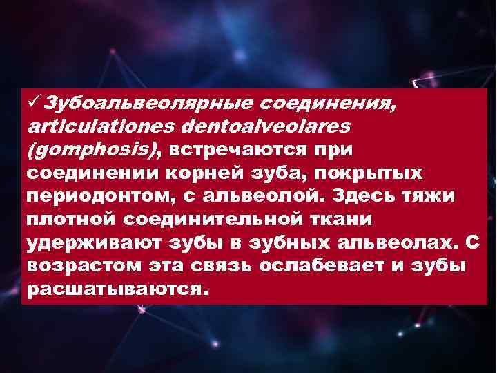 üЗубоальвеолярные соединения, articulationes dentoalveolares (gomphosis), встречаются при соединении корней зуба, покрытых периодонтом, с альвеолой.