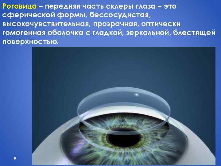 Роговица – передняя часть склеры глаза – это сферической формы, бессосудистая, высокочувствительная, прозрачная, оптически