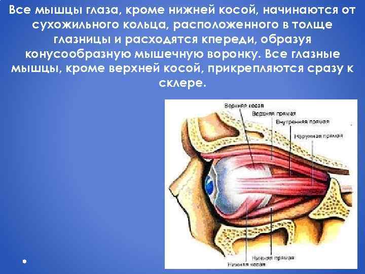 Кроме глаз