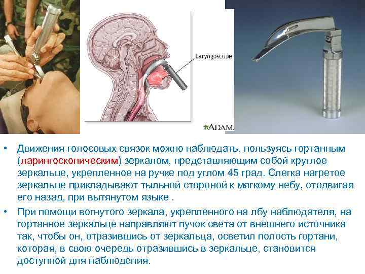  • Движения голосовых связок можно наблюдать, пользуясь гортанным (ларингоскопическим) зеркалом, представляющим собой круглое