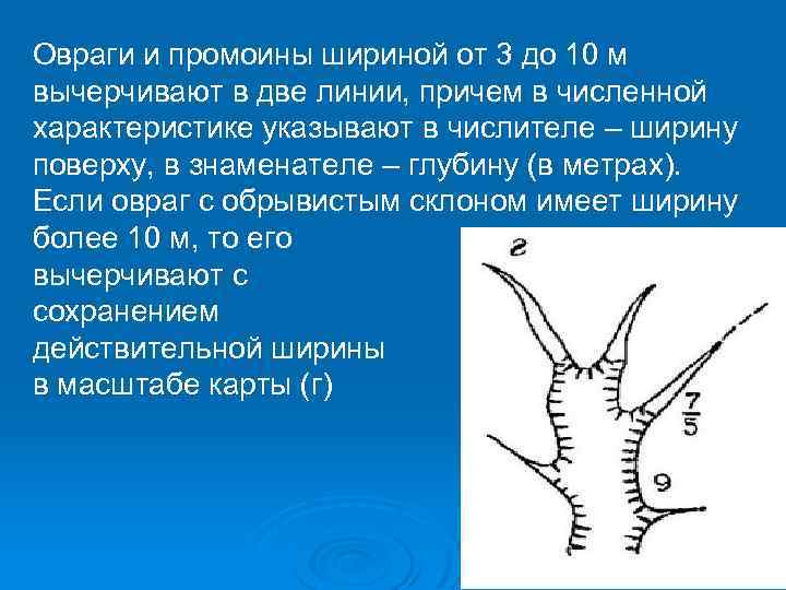 Овраги и промоины шириной от 3 до 10 м вычерчивают в две линии, причем