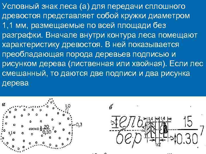 Условный знак леса (а) для передачи сплошного древостоя представляет собой кружки диаметром 1, 1