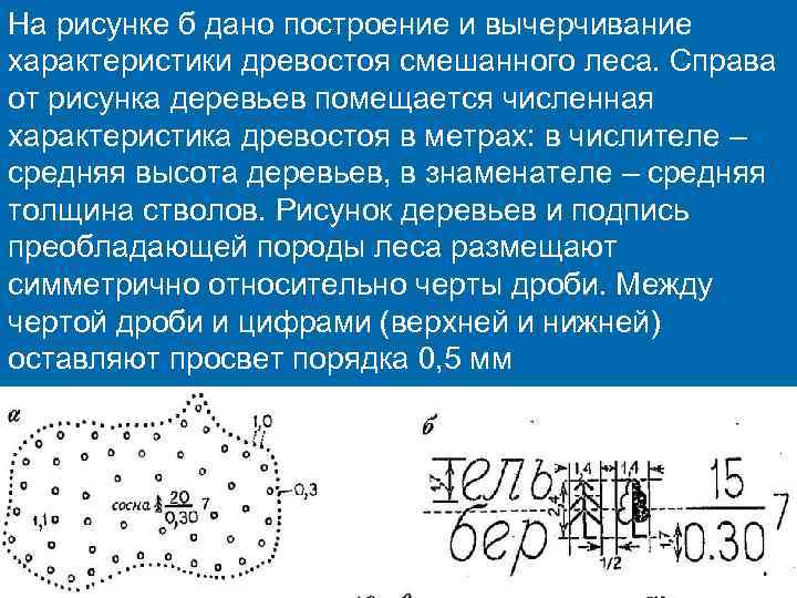 На рисунке б дано построение и вычерчивание характеристики древостоя смешанного леса. Справа от рисунка