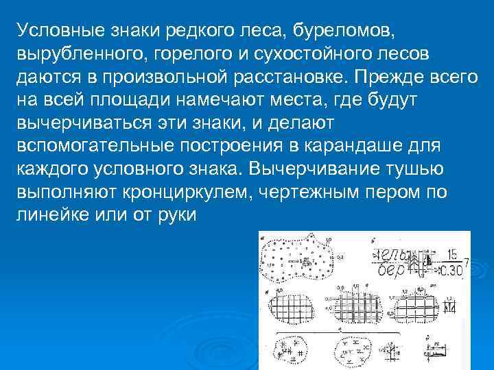 Условные знаки редкого леса, буреломов, вырубленного, горелого и сухостойного лесов даются в произвольной расстановке.