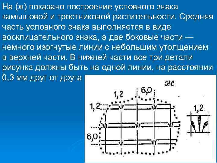 На (ж) показано построение условного знака камышовой и тростниковой растительности. Средняя часть условного знака