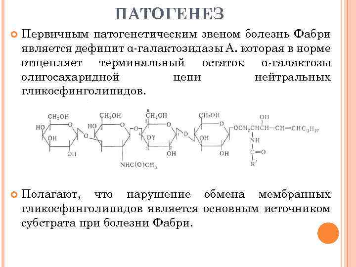 ПАТОГЕНЕЗ Первичным патогенетическим звеном болезнь Фабри является дефицит α-галактозидазы А. которая в норме отщепляет