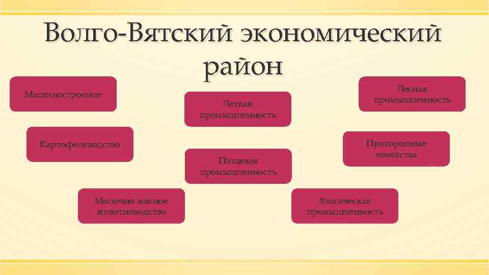 Волго-Вятский экономический район Машиностроение Легкая промышленность Картофелеводство Пищевая промышленность Молочно-мясное животноводство Лесная промышленность Пригородные