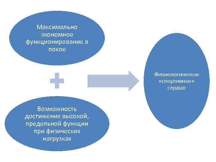 Максимально экономное функционирование в покое Физиологическое «спортивное» сердце Возможность достижения высокой, предельной функции при