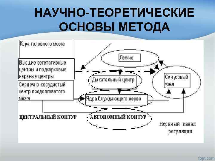 НАУЧНО-ТЕОРЕТИЧЕСКИЕ ОСНОВЫ МЕТОДА 