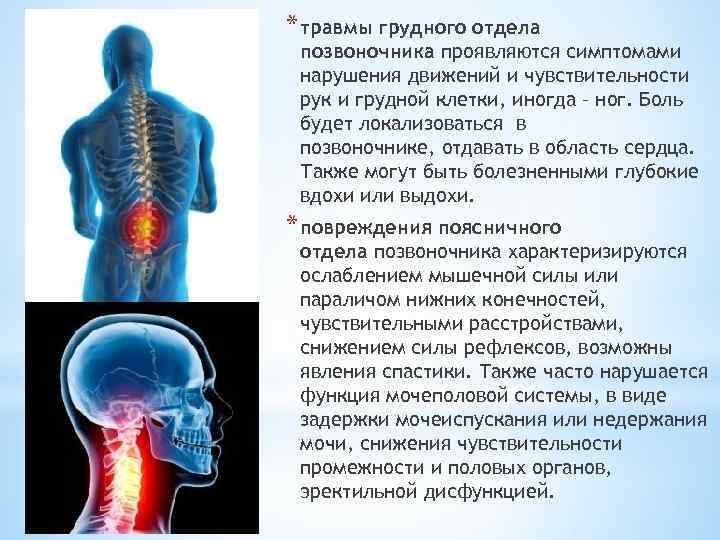 * травмы грудного отдела позвоночника проявляются симптомами нарушения движений и чувствительности рук и грудной