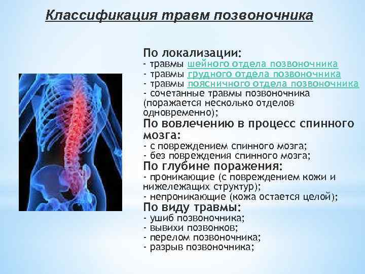 Классификация травм позвоночника По локализации: - травмы шейного отдела позвоночника - травмы грудного отдела