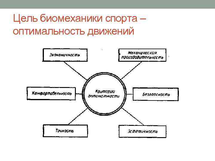 Цель биомеханики спорта – оптимальность движений 