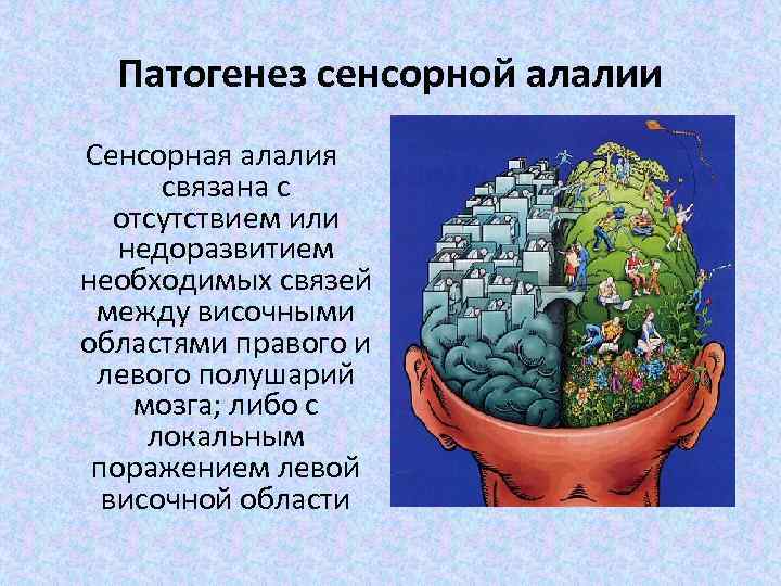 Патогенез сенсорной алалии Сенсорная алалия связана с отсутствием или недоразвитием необходимых связей между височными