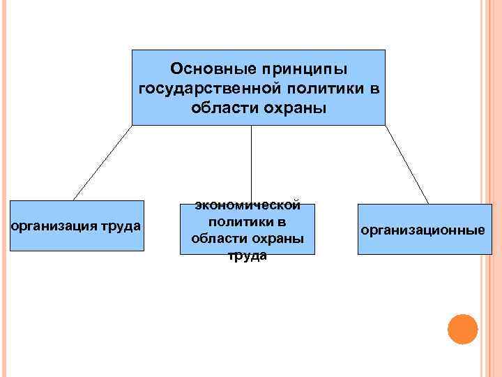 Основные направления государственной политики