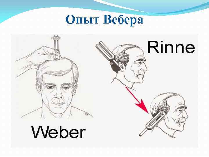Опыт Вебера 