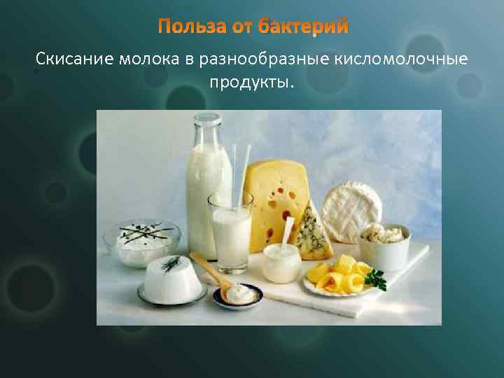 Польза от бактерий Скисание молока в разнообразные кисломолочные продукты. 