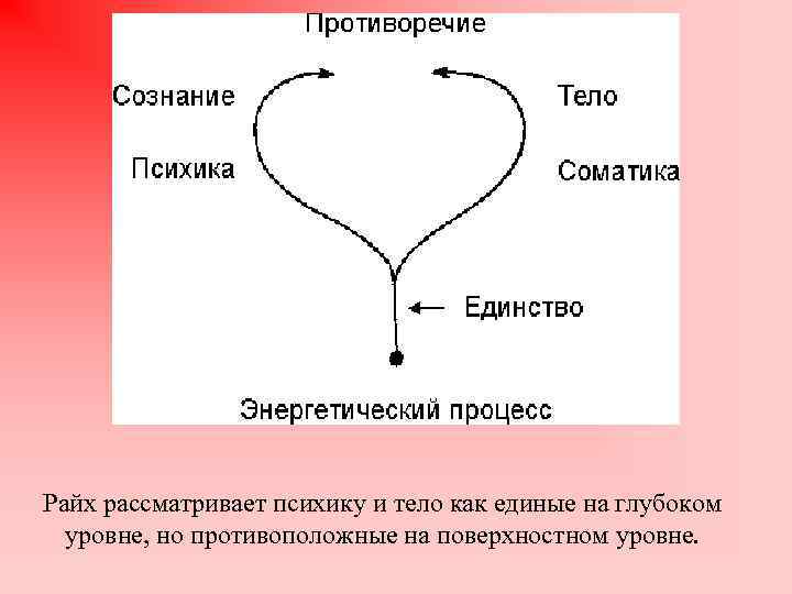 Единство сознания. Психики и соматики. Тело и психика. Взаимосвязь тела и психики. Райх психика и тело.