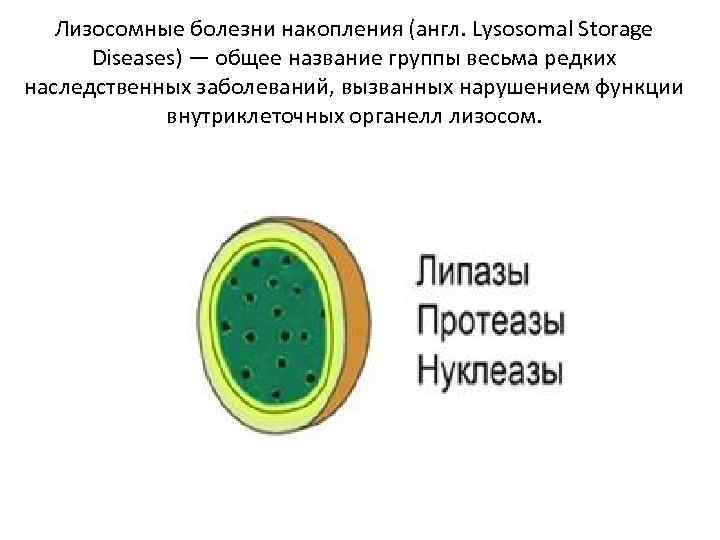 Лизосомные болезни накопления (англ. Lysosomal Storage Diseases) — общее название группы весьма редких наследственных