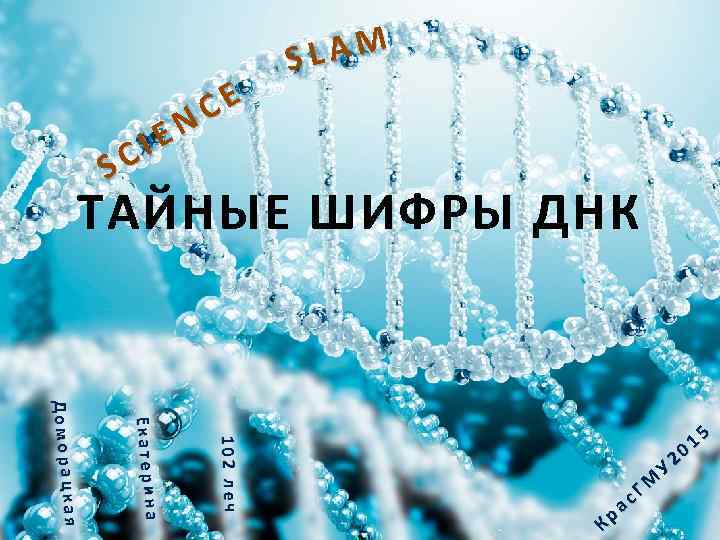 ТАЙНЫЕ ШИФРЫ ДНК S IE C CE N LAM S ая кая Доморацк Доморац
