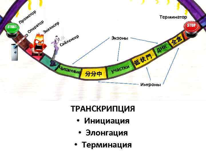 р то о ом Пр ор ер ат нс р ха пе О Эн