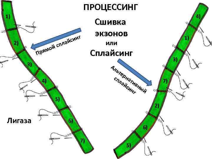 Шифры биошок инфинити