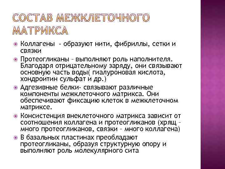  Коллагены - образуют нити, фибриллы, сетки и связки Протеогликаны – выполняют роль наполнителя.