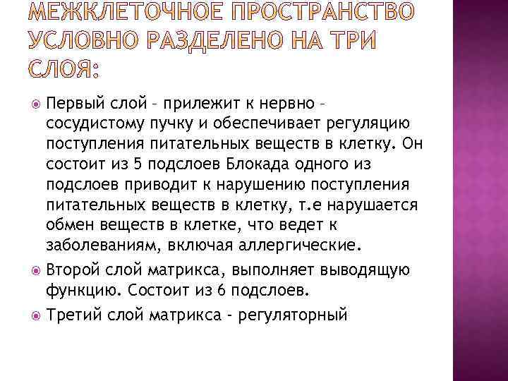 Первый слой – прилежит к нервно – сосудистому пучку и обеспечивает регуляцию поступления питательных