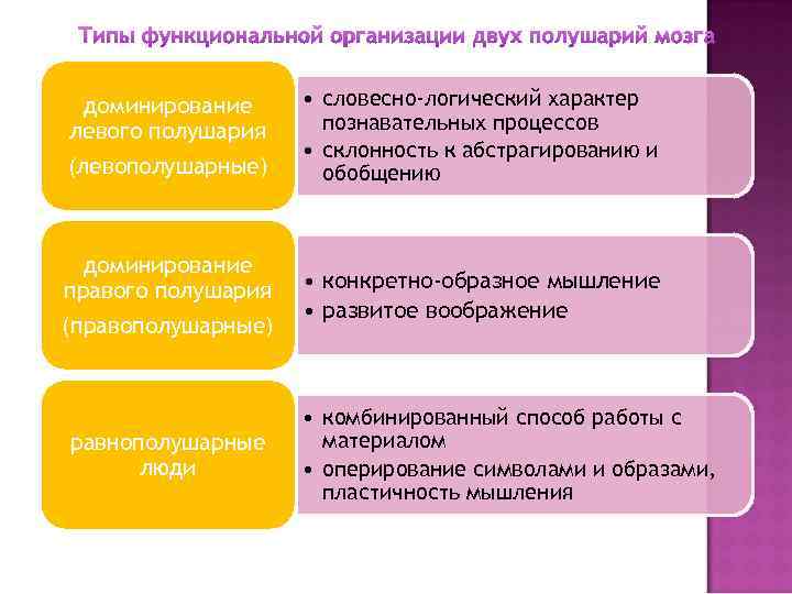 Типы функциональной организации двух полушарий мозга доминирование левого полушария (левополушарные) доминирование правого полушария (правополушарные)