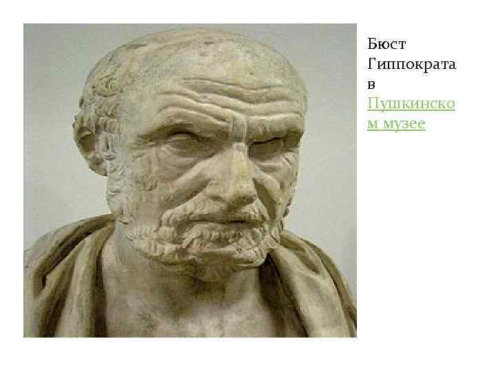 Бюст Гиппократа в Пушкинско м музее 