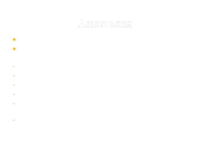 Анатомия Самостоятельная отрасль медицины Основатель описательной анатомии – ГЕРОФИЛ из - Халкидона: описал твердую