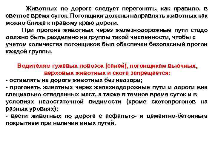 Животных по дороге следует перегонять, как правило, в светлое время суток. Погонщики должны направлять