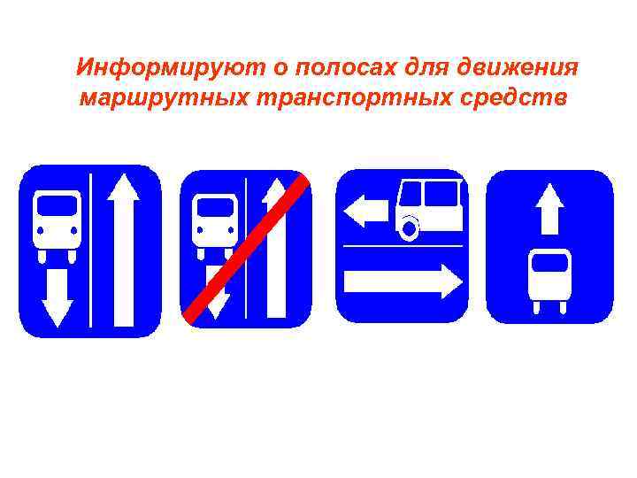 Информируют о полосах для движения маршрутных транспортных средств 