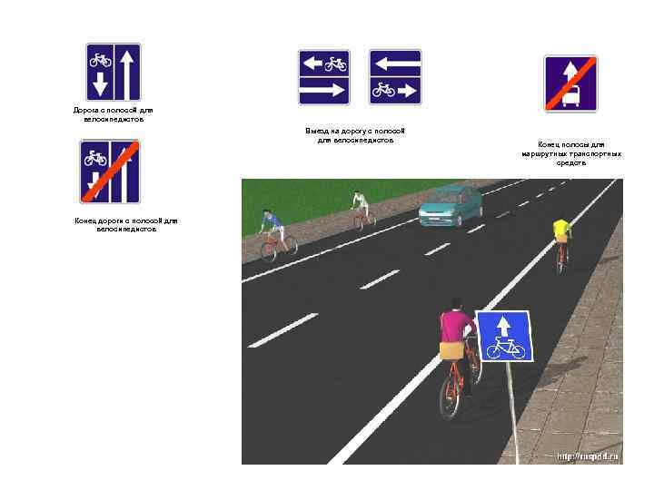 Дорога с полосой для велосипедистов Выезд на дорогу с полосой для велосипедистов Конец дороги