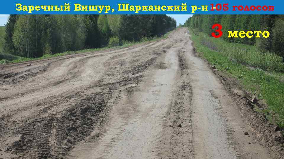 Заречный Вишур, Шарканский р-н 105 голосов – 3 место 