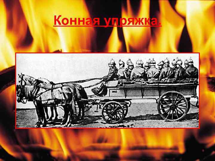 Конная упряжка. 