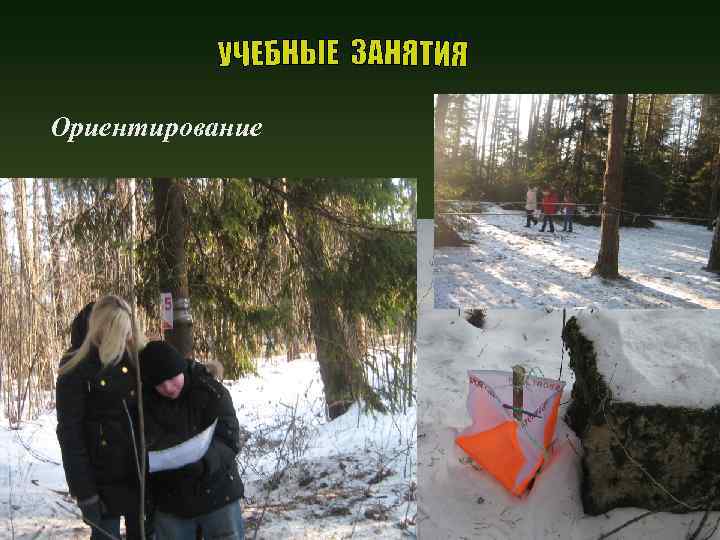 Ориентирование 