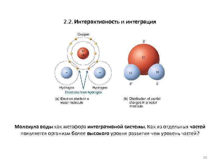 2. 2. Интерактивность и интеграция. Молекула воды как метафора интегративной системы. Как из отдельных