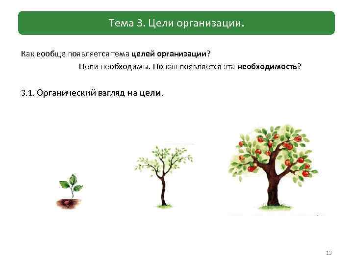 Тема 3. Цели организации. Как вообще появляется тема целей организации? Цели необходимы. Но как