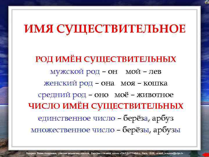 ИМЯ СУЩЕСТВИТЕЛЬНОЕ РОД ИМЁН СУЩЕСТВИТЕЛЬНЫХ мужской род – он мой – лев женский род