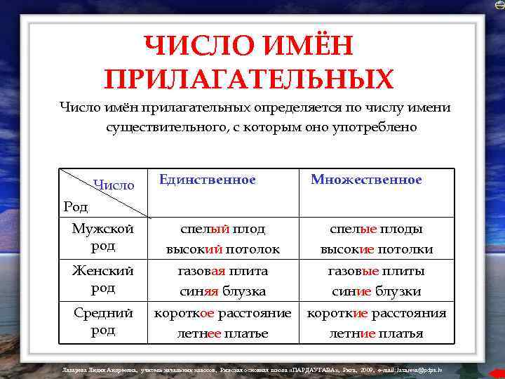 ЧИСЛО ИМЁН ПРИЛАГАТЕЛЬНЫХ Число имён прилагательных определяется по числу имени существительного, с которым оно