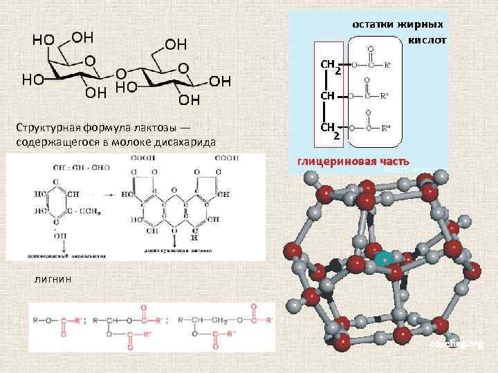 Структурная формула лактозы — содержащегося в молоке дисахарида лигнин 