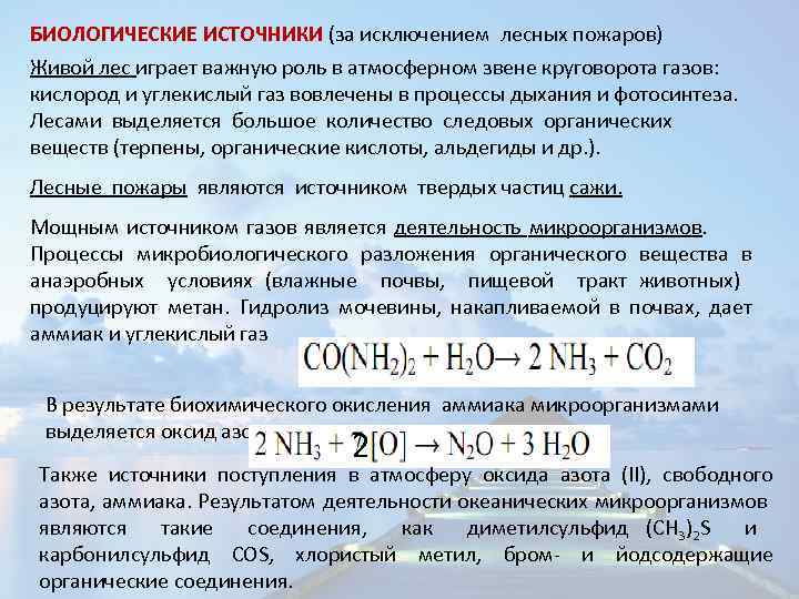 БИОЛОГИЧЕСКИЕ ИСТОЧНИКИ (за исключением лесных пожаров) Живой лес играет важную роль в атмосферном звене