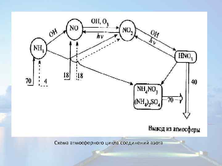 Схема атмосферного цикла соединений азота 