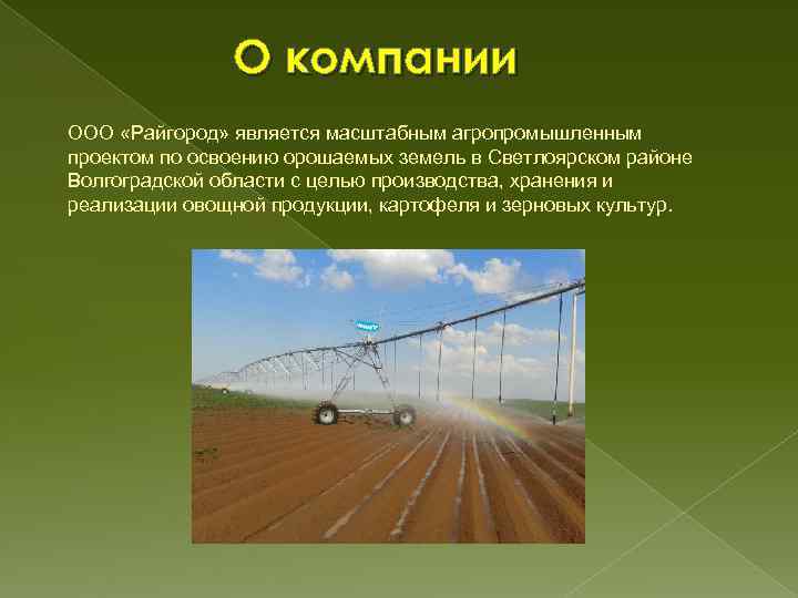 О компании ООО «Райгород» является масштабным агропромышленным проектом по освоению орошаемых земель в Светлоярском