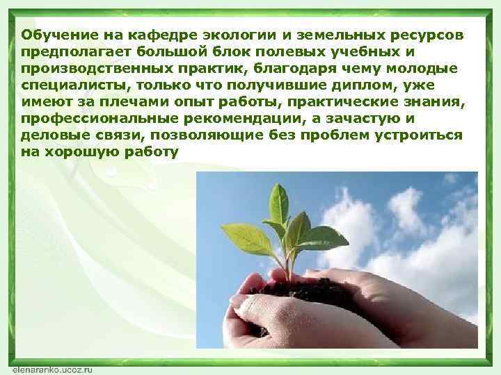 Обучение на кафедре экологии и земельных ресурсов предполагает большой блок полевых учебных и производственных