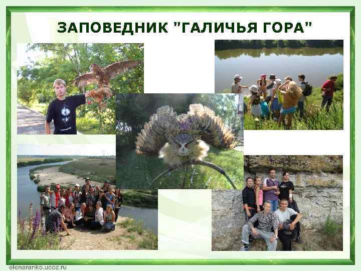 ЗАПОВЕДНИК "ГАЛИЧЬЯ ГОРА" 