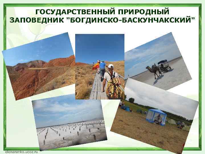 ГОСУДАРСТВЕННЫЙ ПРИРОДНЫЙ ЗАПОВЕДНИК "БОГДИНСКО-БАСКУНЧАКСКИЙ" 