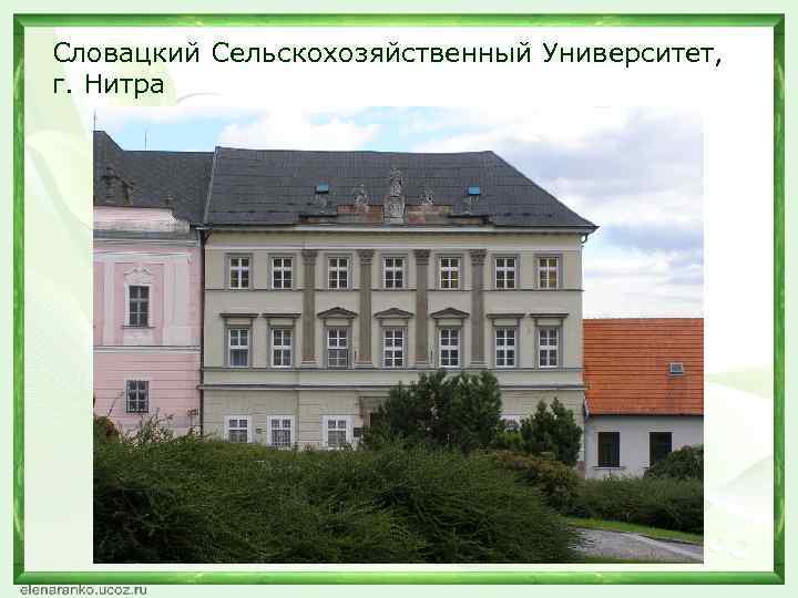 Словацкий Cельскохозяйственный Университет, г. Нитра 